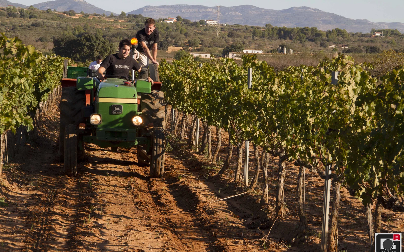 Bodega Magnanimvs en Vilafames
