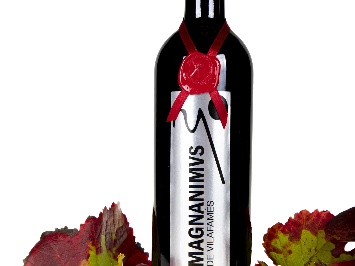 Vino Magnanimvs en la bodega